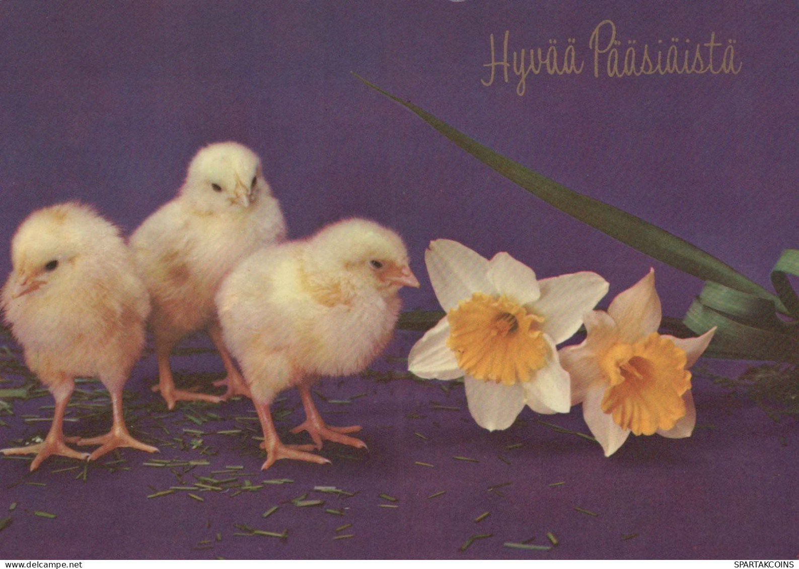 EASTER CHICKEN Vintage Postcard CPSM #PBO931.A - Ostern