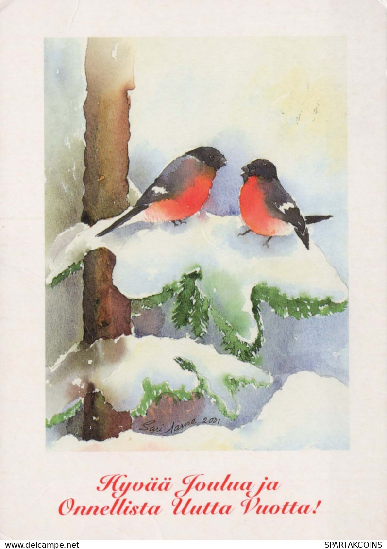 Happy New Year Christmas BIRD Vintage Postcard CPSM #PBM759.A - Neujahr