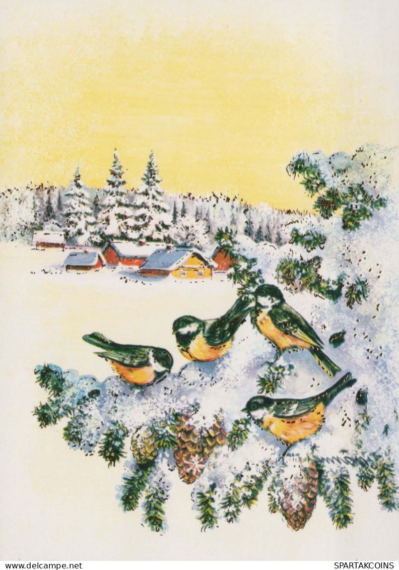 Happy New Year Christmas BIRD Vintage Postcard CPSM #PBM714.A - Neujahr