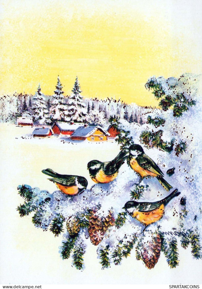 Happy New Year Christmas BIRD Vintage Postcard CPSM #PBM714.A - Neujahr