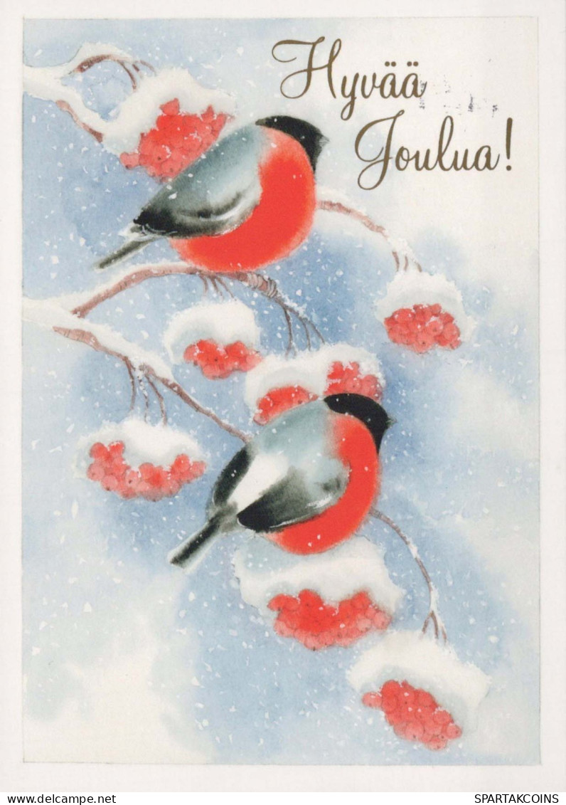Bonne Année Noël OISEAU Vintage Carte Postale CPSM #PBM687.A - Neujahr
