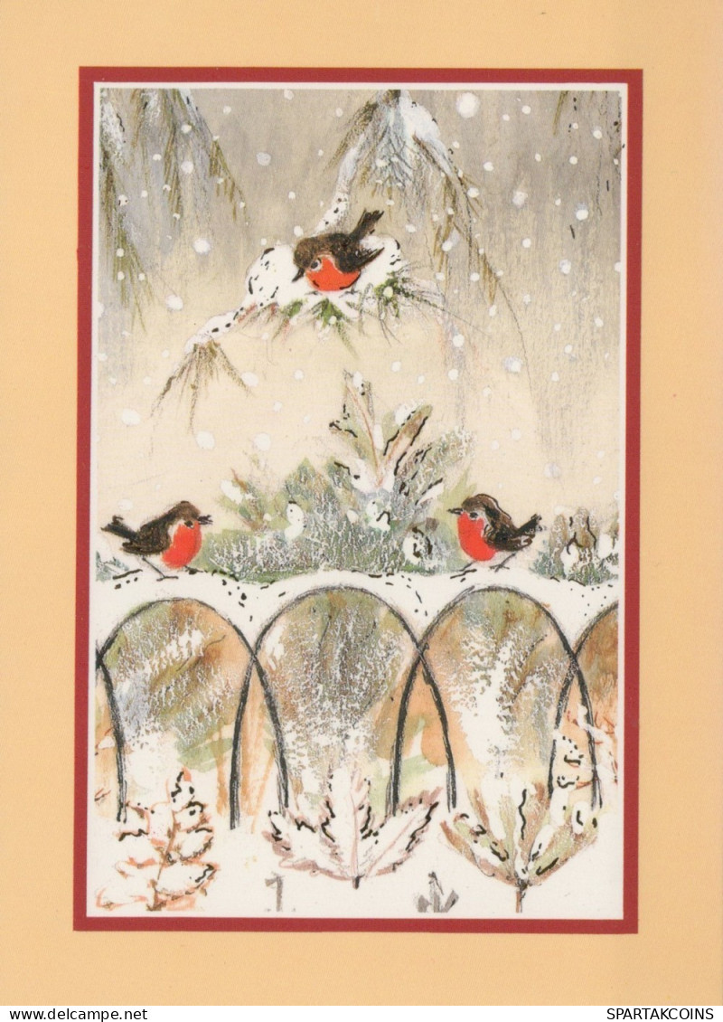OISEAU Animaux Vintage Carte Postale CPSM #PAM909.A - Oiseaux