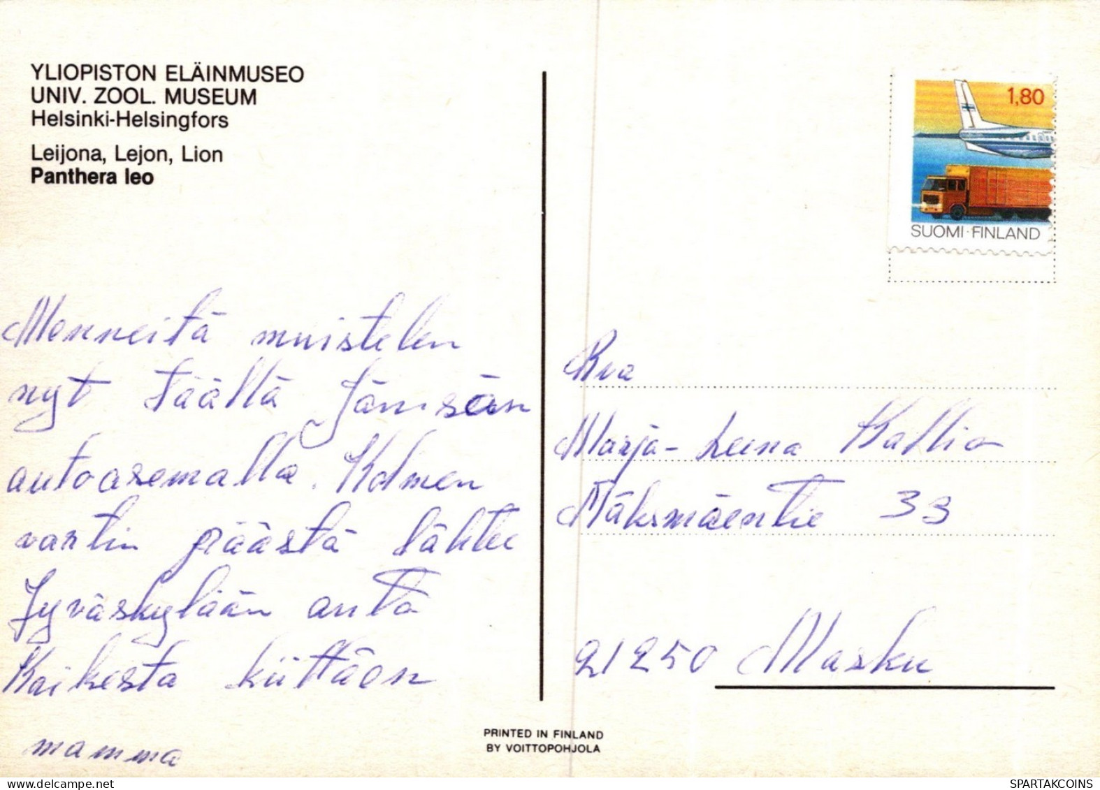 LEÓN GATO GRANDE Animales Vintage Tarjeta Postal CPSM #PAM012.A - Löwen
