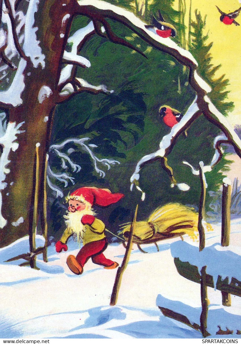 BABBO NATALE Buon Anno Natale GNOME Vintage Cartolina CPSM #PBL620.A - Santa Claus
