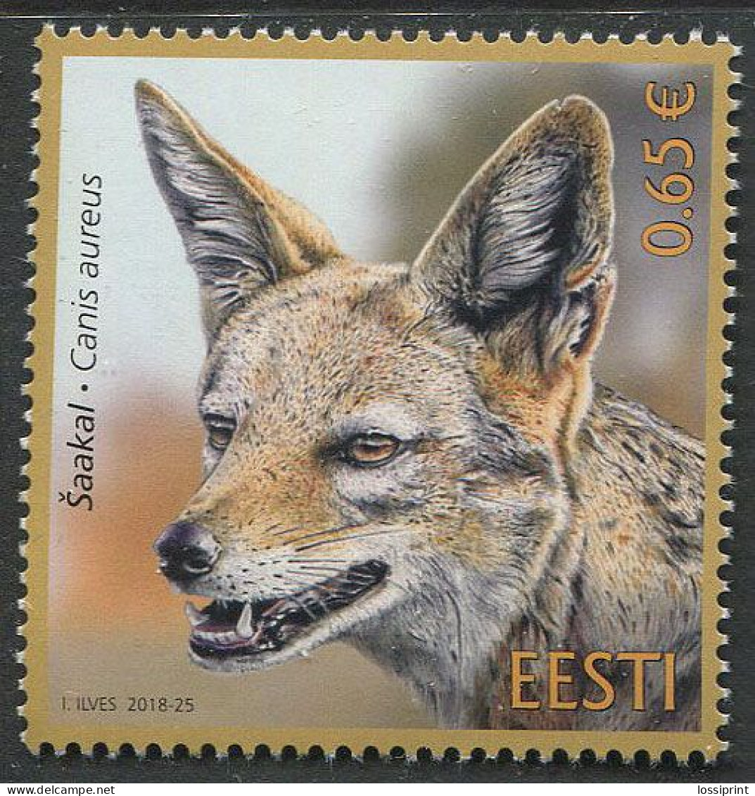 Estonia:Unused Stamp Animal, Jackal, Canis Aureus, 2018, MNH - Estonie