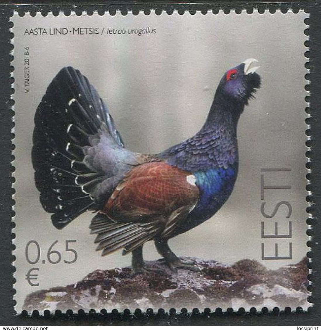 Estonia:Unused Stamp Bird Of The Year Grouse, 2018, MNH - Estonia