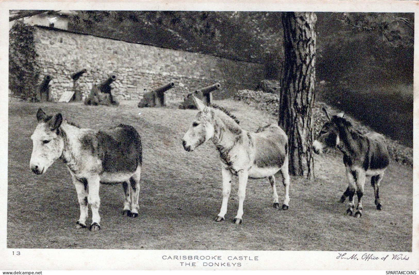 ESEL Tiere Vintage Antik Alt CPA Ansichtskarte Postkarte #PAA040.A - Donkeys