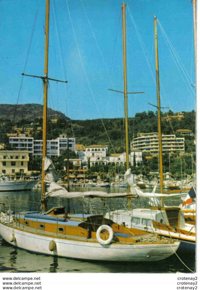 83 LE LAVANDOU Yachts Voiliers Sur Le Port VOIR DOS Et Flamme En 1972 - Le Lavandou