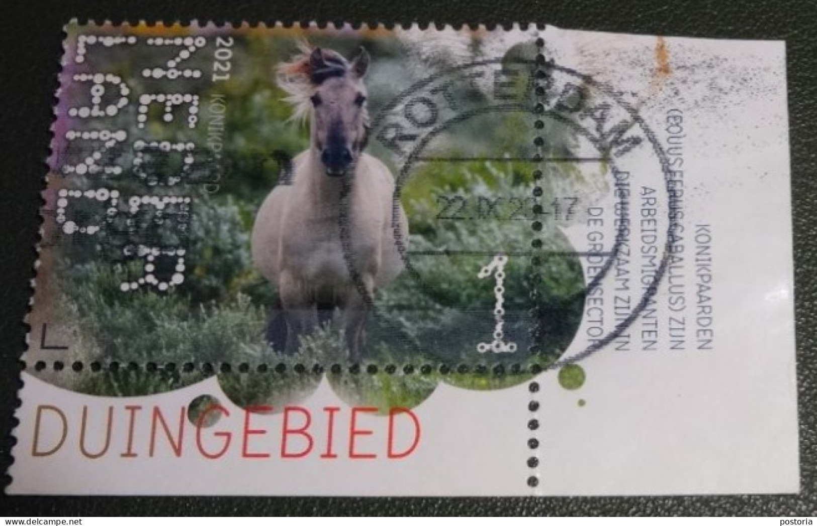 Nederland - NVPH - Xxxx - 2021 - Gebruikt - Used - Beleef De Natuur - Konikpaard - Tab - Used Stamps