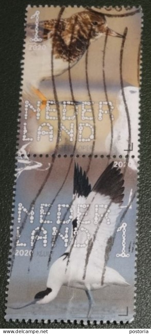 Nederland - NVPH - Xxxx - 2020 - Gebruikt - Used - Beleef De Natuur - Paar - Steenloper En Kluut - Used Stamps