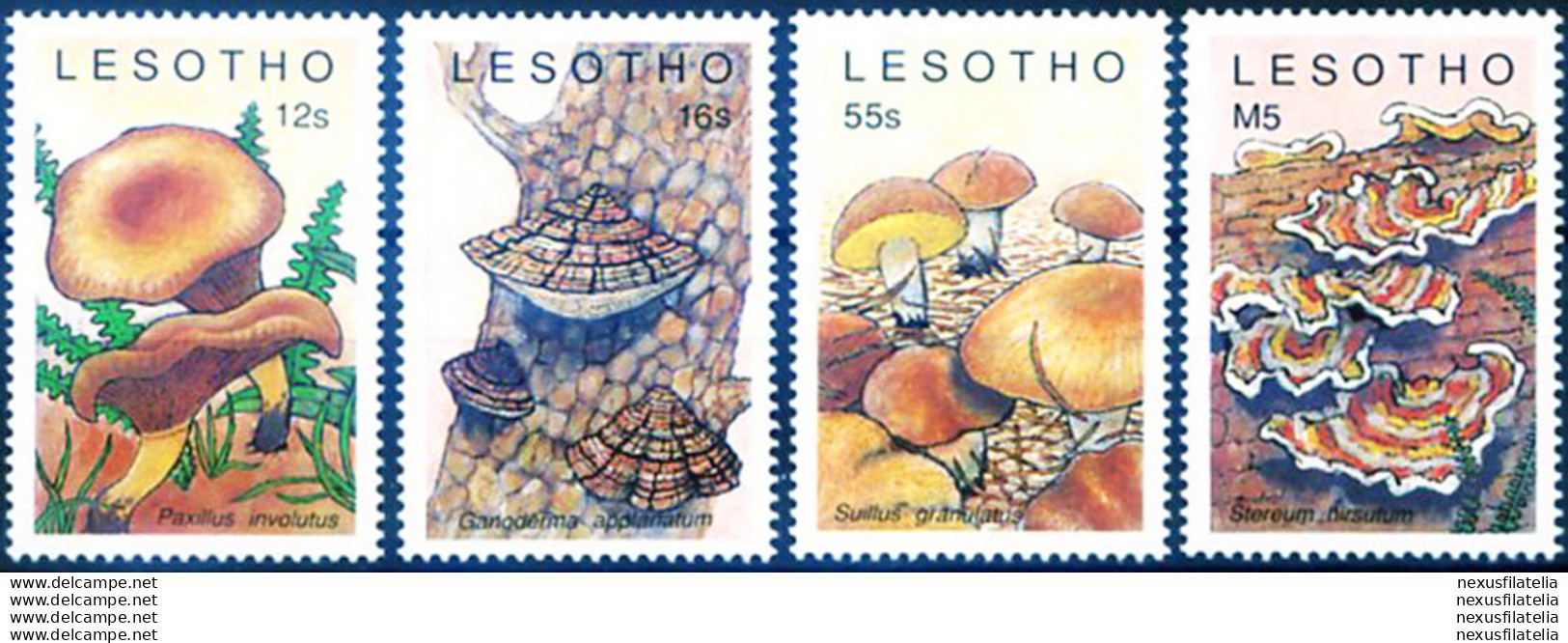 Flora. Funghi 1989. - Lesotho (1966-...)