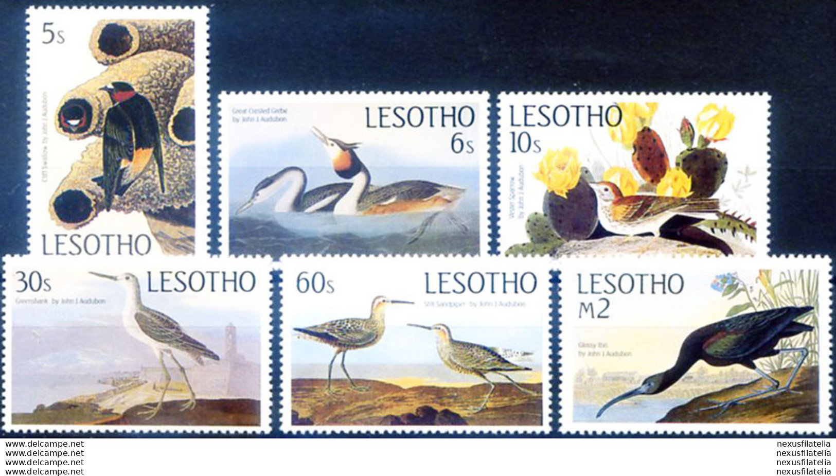 Fauna. Uccelli 1985. - Lesotho (1966-...)