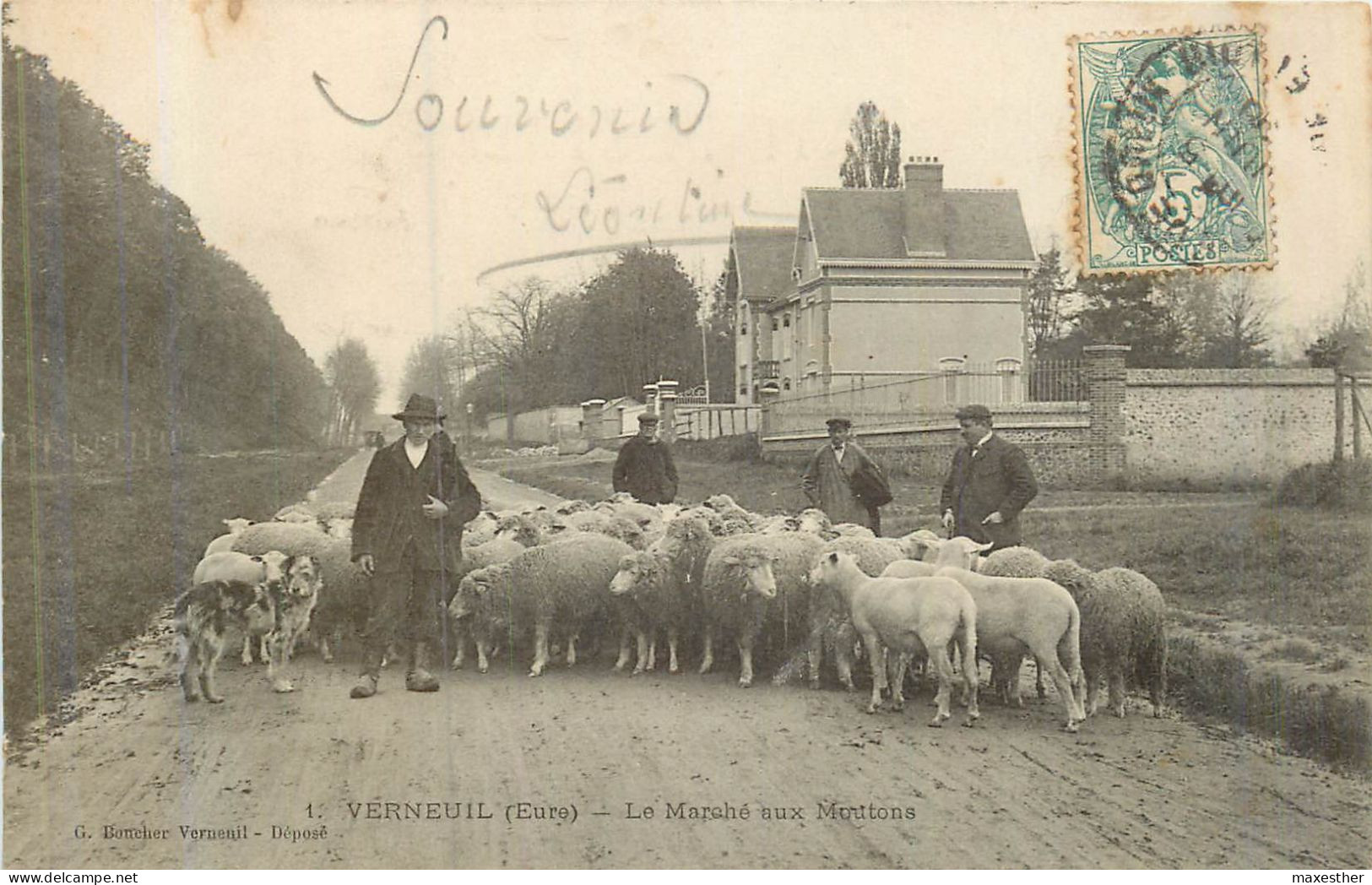 VERNEUIL SUR AVRE Le Marché Aux Moutons - Verneuil-sur-Avre