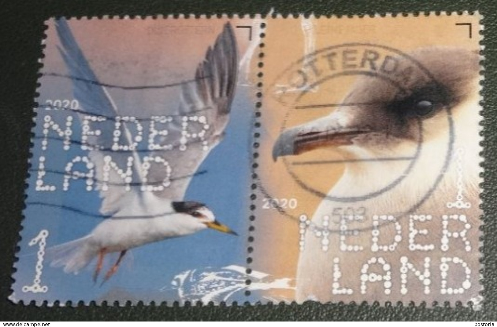 Nederland - NVPH - Xxxx - 2020 - Gebruikt - Used - Beleef De Natuur - Paar - Dwergstern En Kleine Jager - Used Stamps