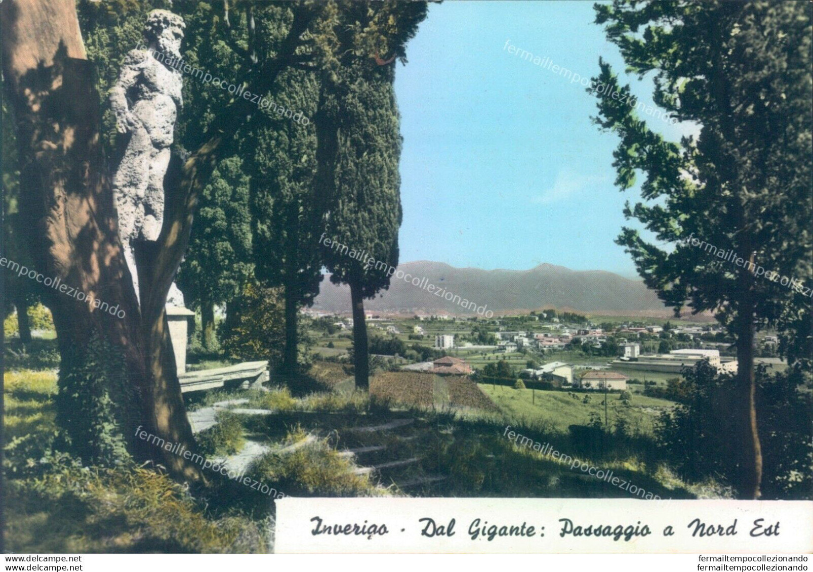 E156  Cartolina  Provincia Di Como - Inverigo Dal Gigante - Como