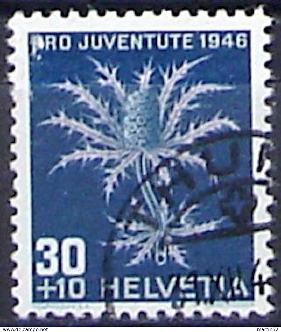 Schweiz Pro Juventute 1946: Eryngium Alpinum Zu WI 120 Mi 478 Yv 436 Mit Voll-Stempel THUN 31.XII.46 (Zu CHF 12.00) - Oblitérés