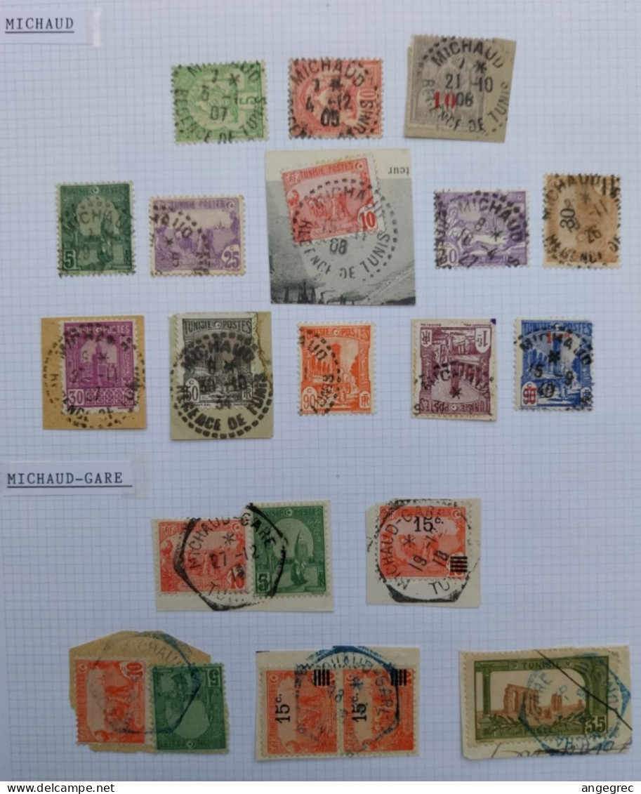 Tunisie Lot Timbre Oblitération Choisies Michaud, Michaud Gare, Dont Fragment, Cachet Bleu Et Perlé à Voir - Used Stamps