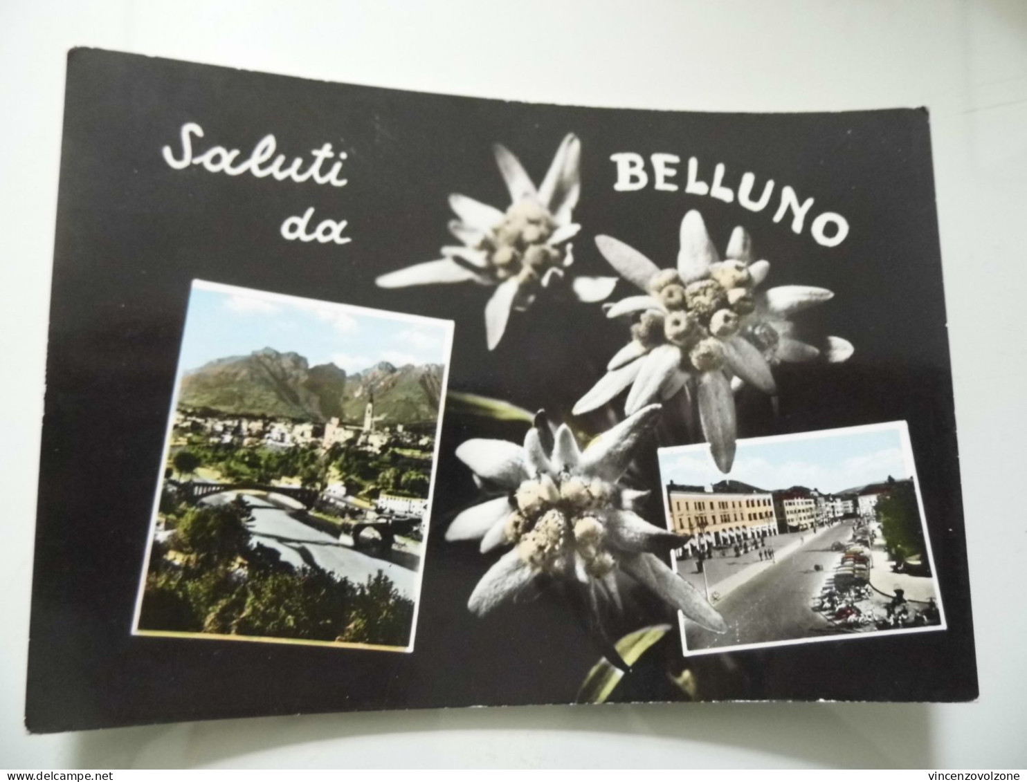 Cartolina Viaggiata "Saluti Da BELLUNO" Vedutine  1962 - Belluno