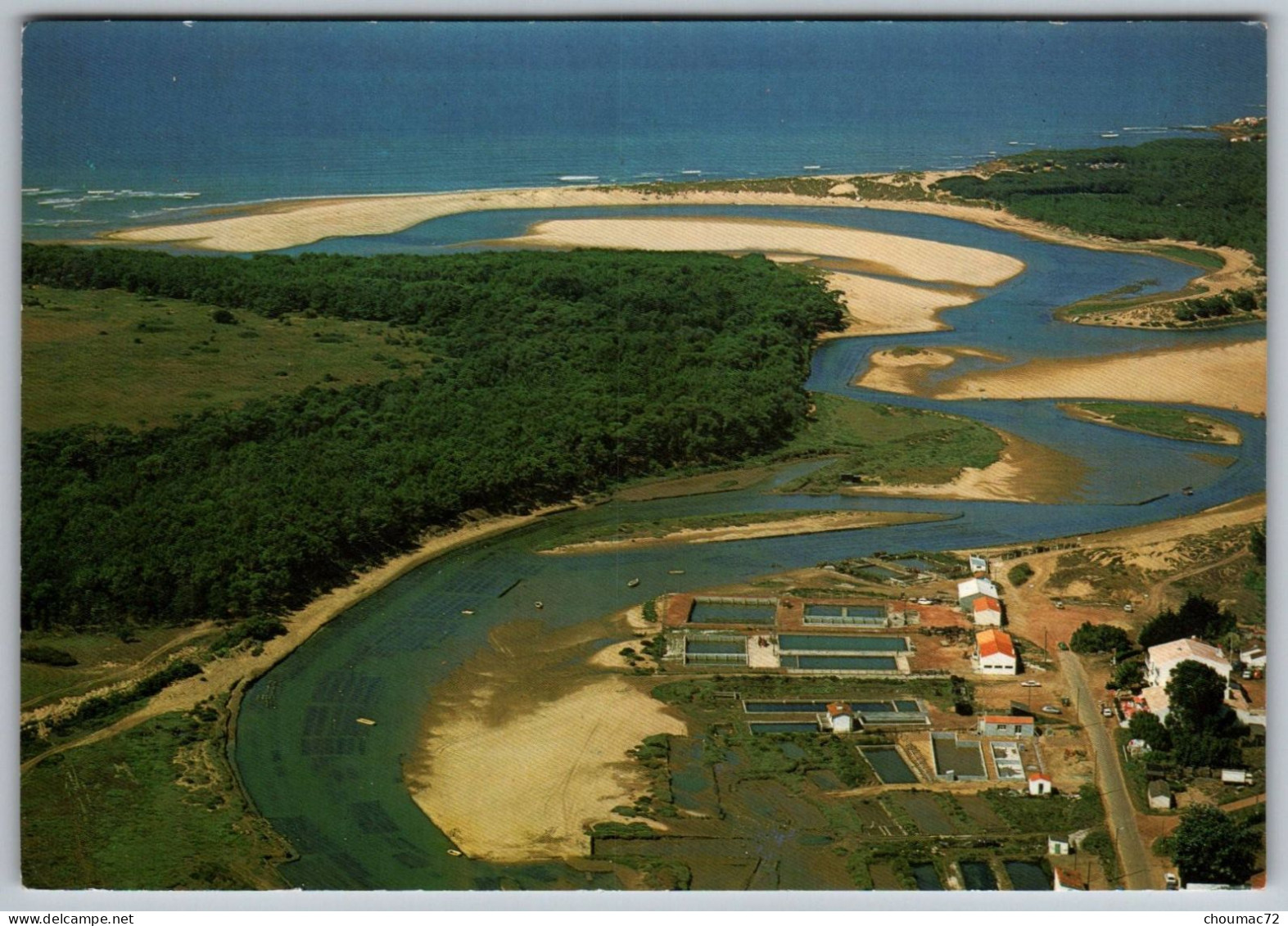 GF (85) 1468, Talmont Saint Hilaire, Artaud éditeurs 2bis, Vue Aérienne, Le Havre Du Payré Installations Ostréicoles - Talmont Saint Hilaire