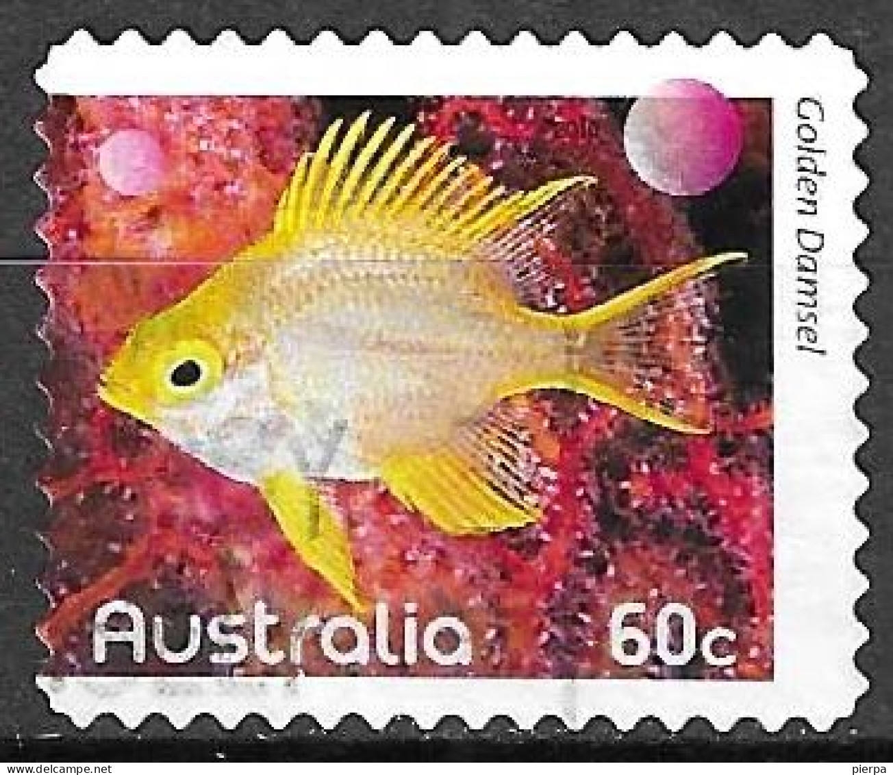 AUSTRALIA - 2010 - PESCE GOLDEN DAMSEL -  USATO ( YVERT 3275 - MICHEL 3395) - Gebraucht