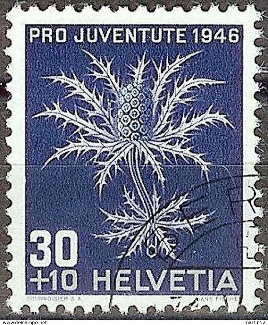 Schweiz Pro Juventute 1946: Eryngium Alpinum Zu WI 120 Mi 478 Yv 436 Mit Stempel BERN 31.XII.46 (Zu CHF 12.00) - Gebraucht