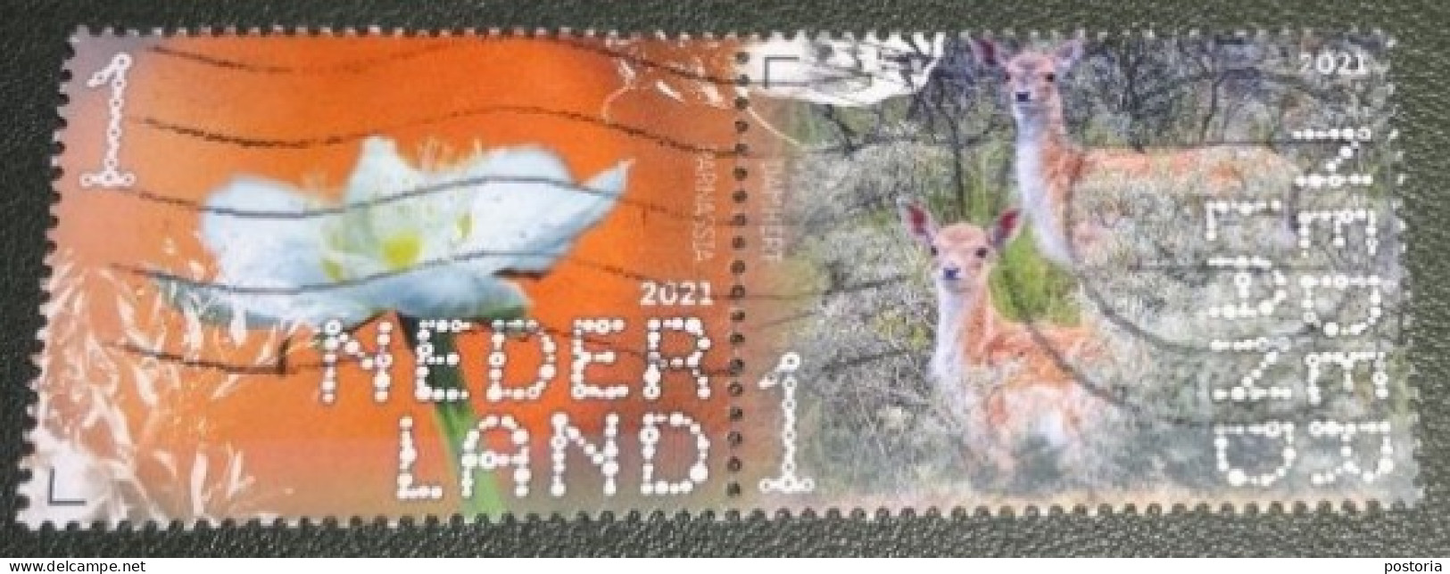 Nederland - NVPH - Xxxx - 2021 - Gebruikt - Used - Beleef De Natuur - Paar - Parnassia En Damhert - Used Stamps