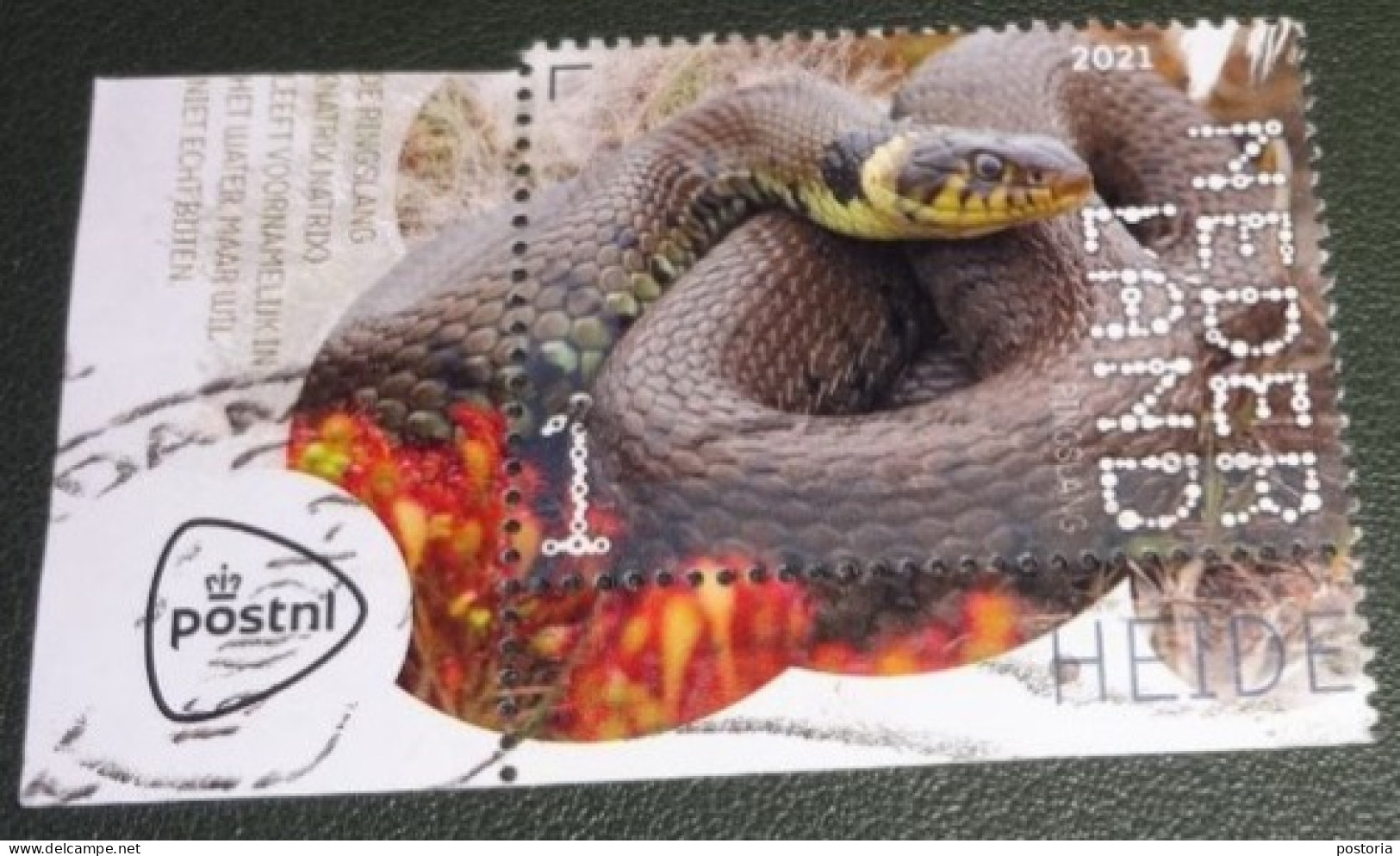 Nederland - NVPH - Xxxx - 2021 - Gebruikt - Used - Beleef De Natuur - Ringslang - Tab - Used Stamps