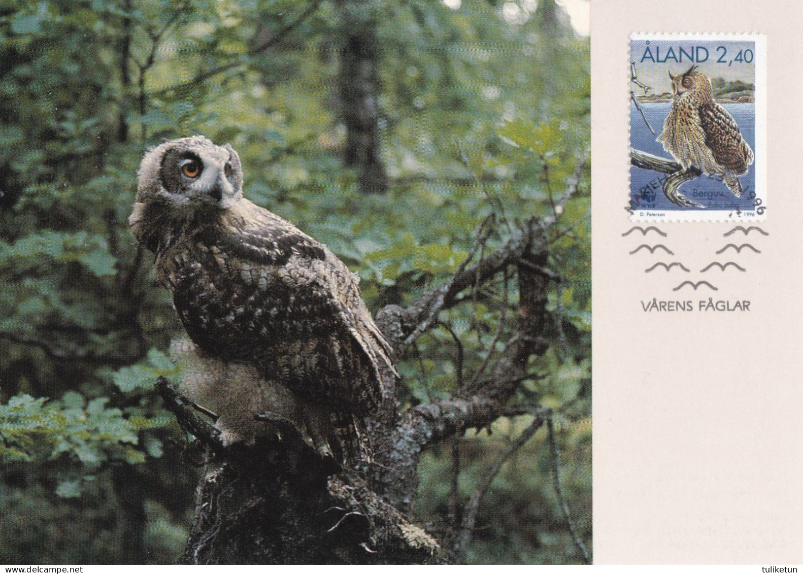 Owl - Hibou - Uil - Eule - Gufo - Coruja - Búho - Huuhkaja - Owl - Bubo Bubo - Maximum Postcard - Maxicard - Oiseaux