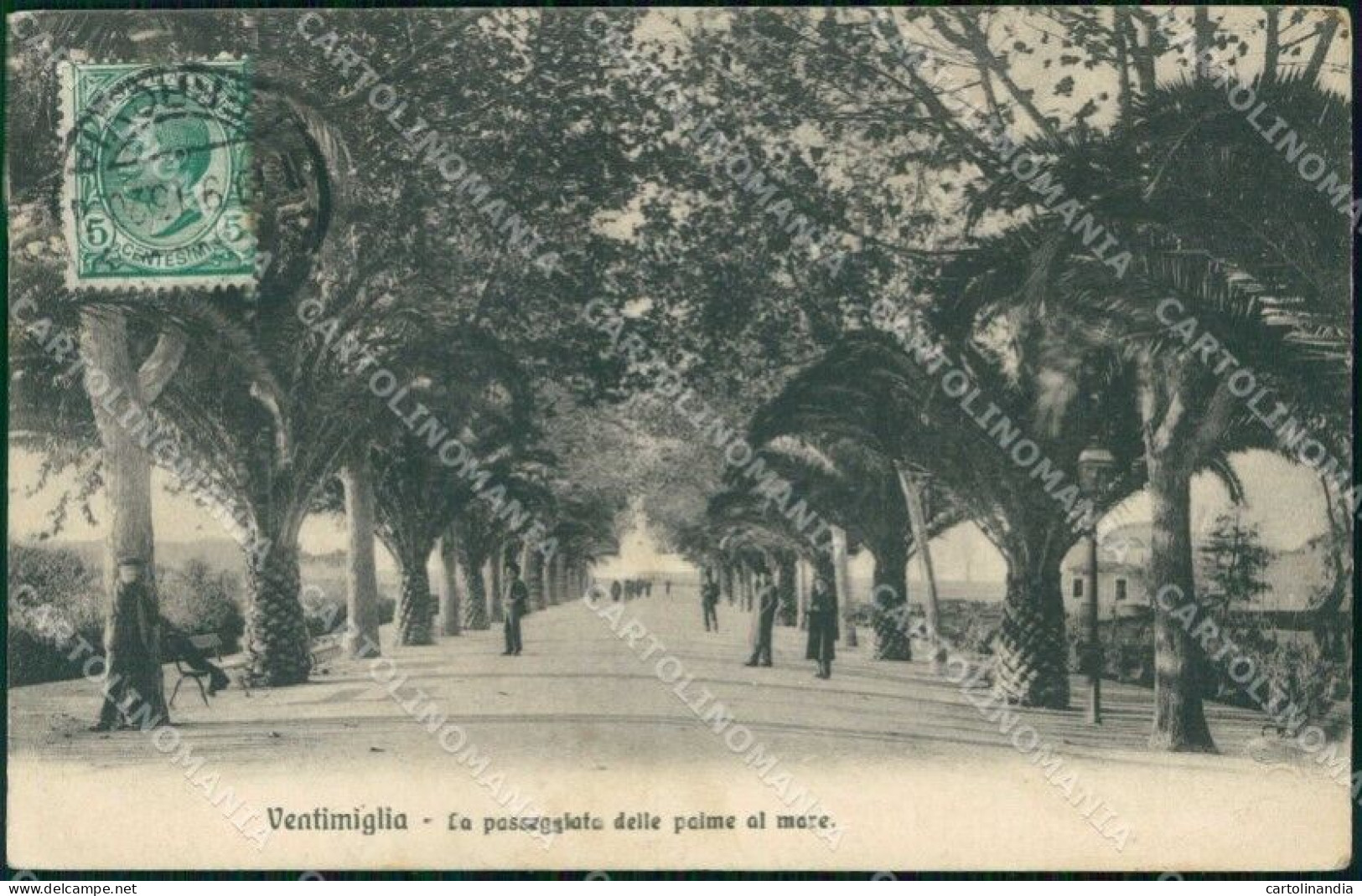 Imperia Ventimiglia Passeggiata Delle Palme Al Mare Cartolina RT2952 - Imperia