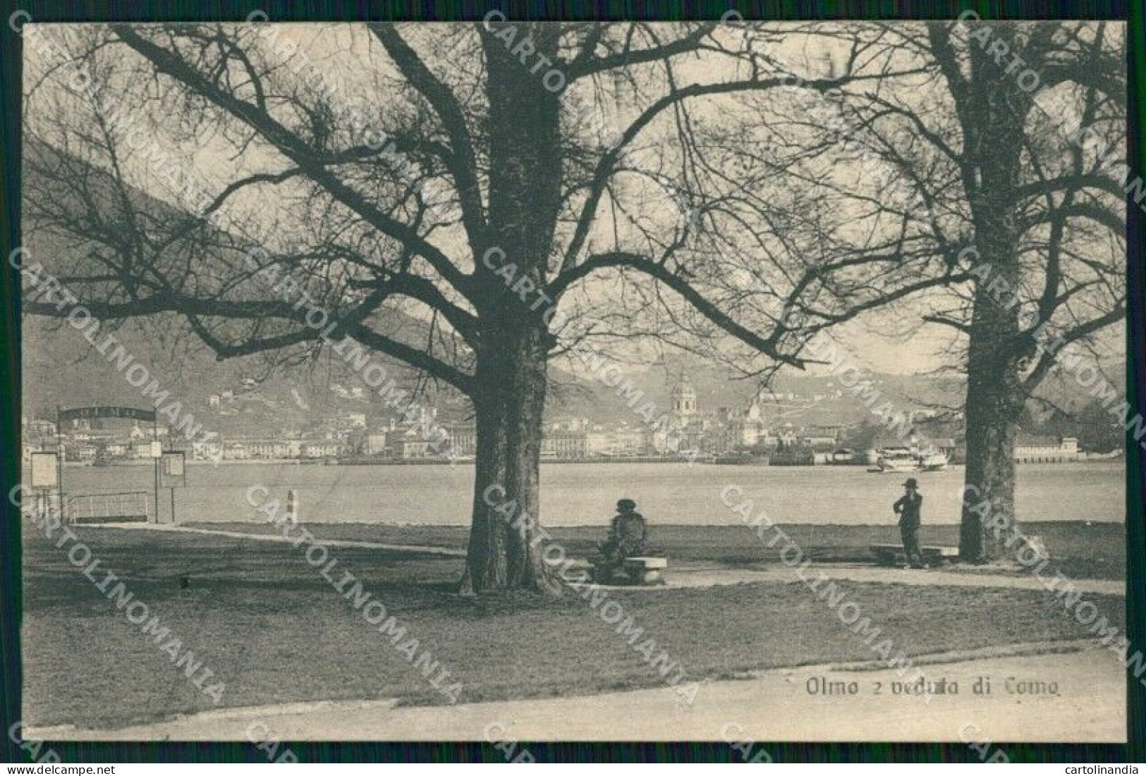 Como Città Olmo Veduta Lago Cartolina RT2972 - Como