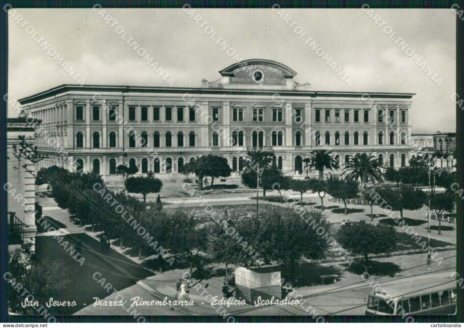 Foggia San Severo Edificio Scolastico Foto FG Cartolina ZK1126 - Foggia