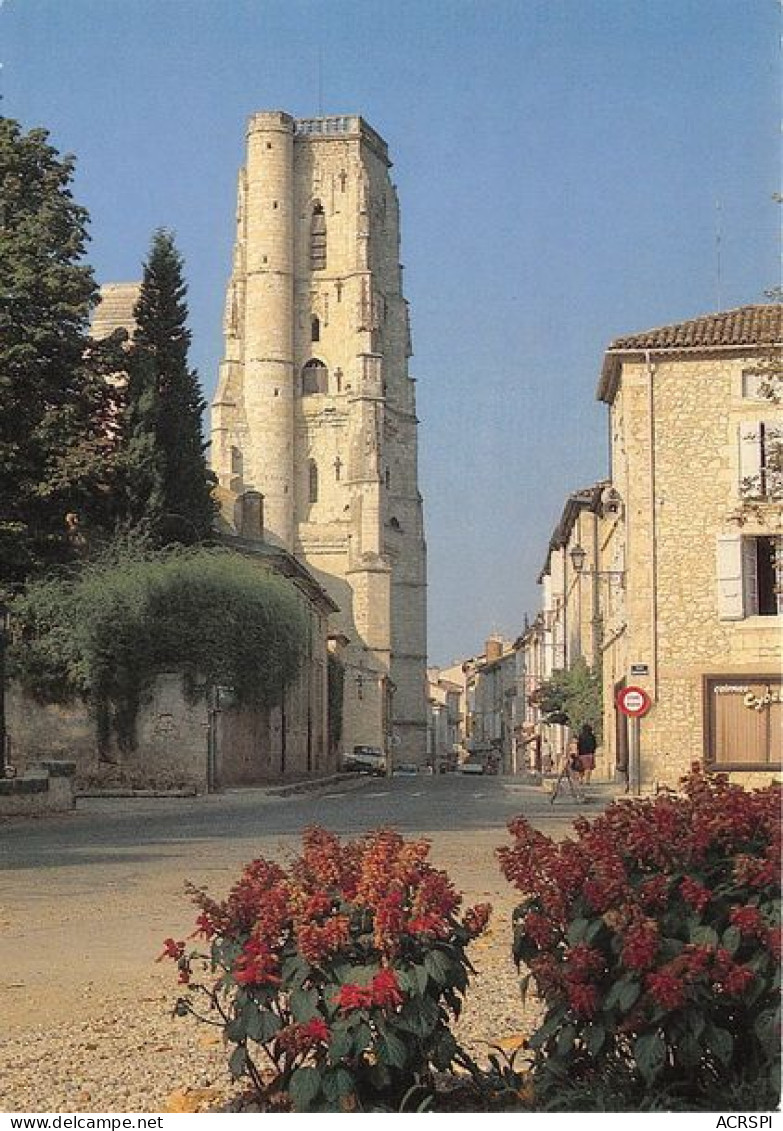 LECTOURE La Cathedrale 24(scan Recto-verso) MA1677 - Lectoure