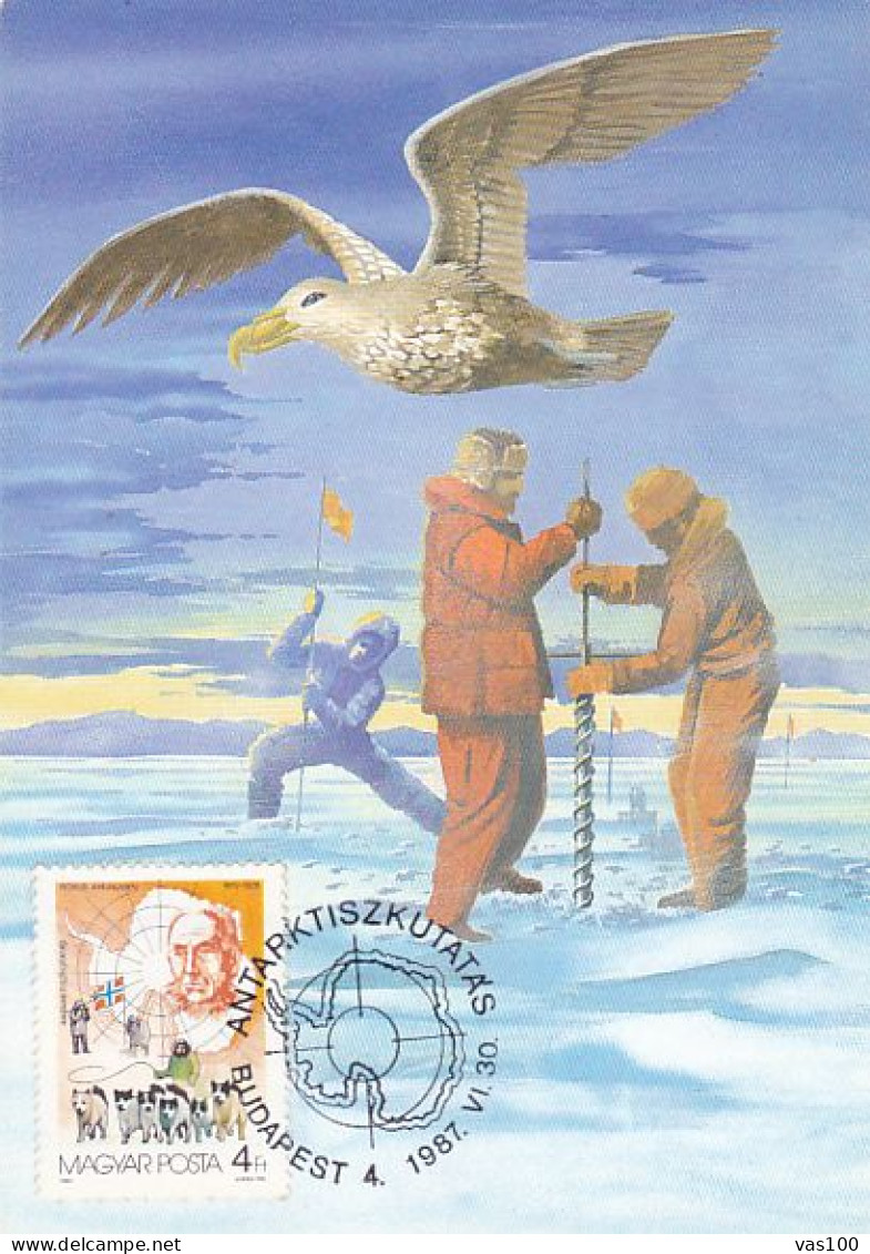 SOUTH POLE, ANTARCTIC RESEARCH, BIRD, EXPLORERS, CM,MAXICARD, CARTES MAXIMUM, 1987, HUNGARY - Other & Unclassified