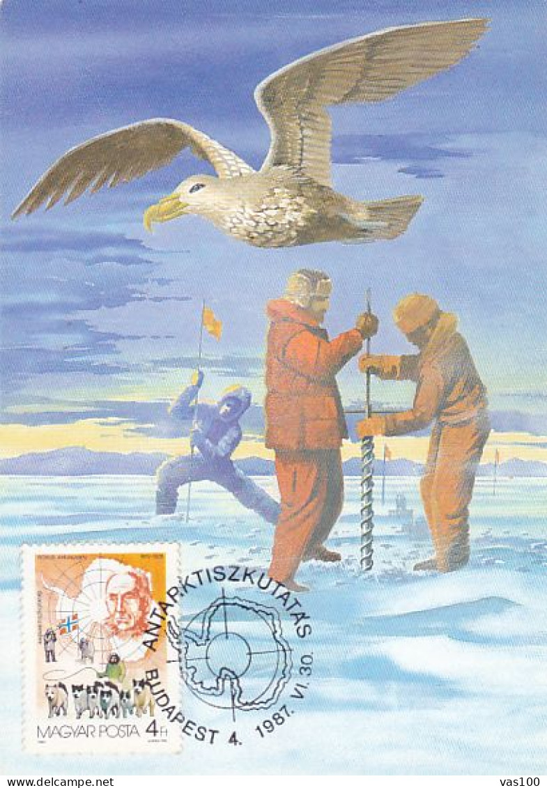 SOUTH POLE, ANTARCTIC RESEARCH, BIRD, EXPLORERS, CM,MAXICARD, CARTES MAXIMUM, 1987, HUNGARY - Otros & Sin Clasificación