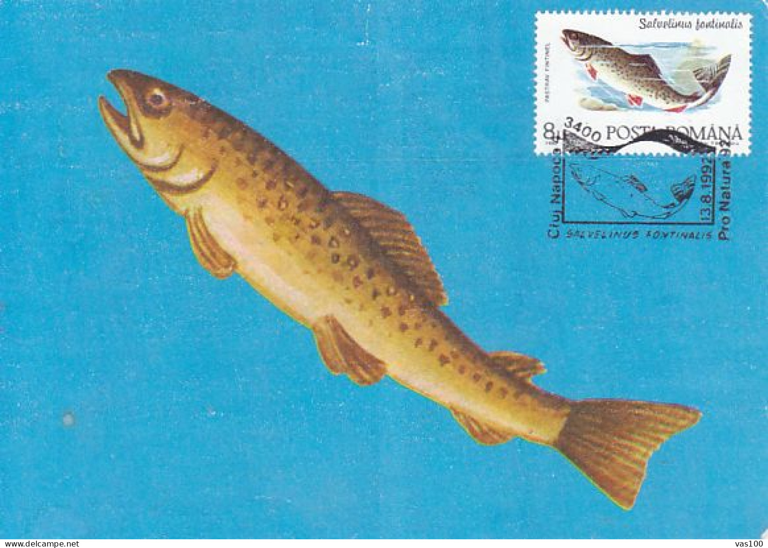 ANIMALS, FISHES, BROOK TROUT, CM, MAXICARD, CARTES MAXIMUM, 1992, ROMANIA - Fishes