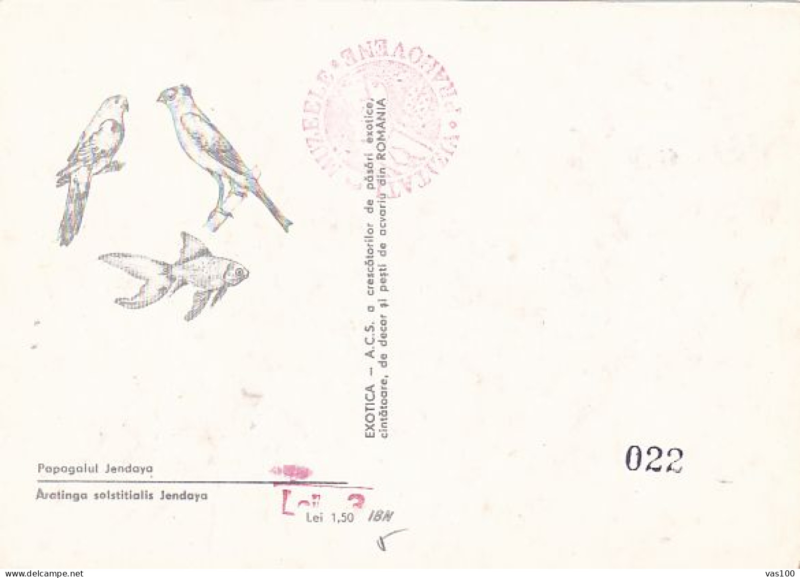ANIMALS, BIRDS, PARROTS, SUN PARAKEET, CM, MAXICARD, CARTES MAXIMUM, OBLIT FDC, 1991, ROMANIA - Parrots