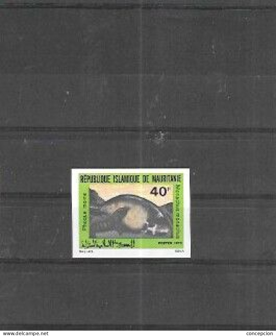 MAURITANIA Nº 305 SIN DENTAR - Mauritanie (1960-...)