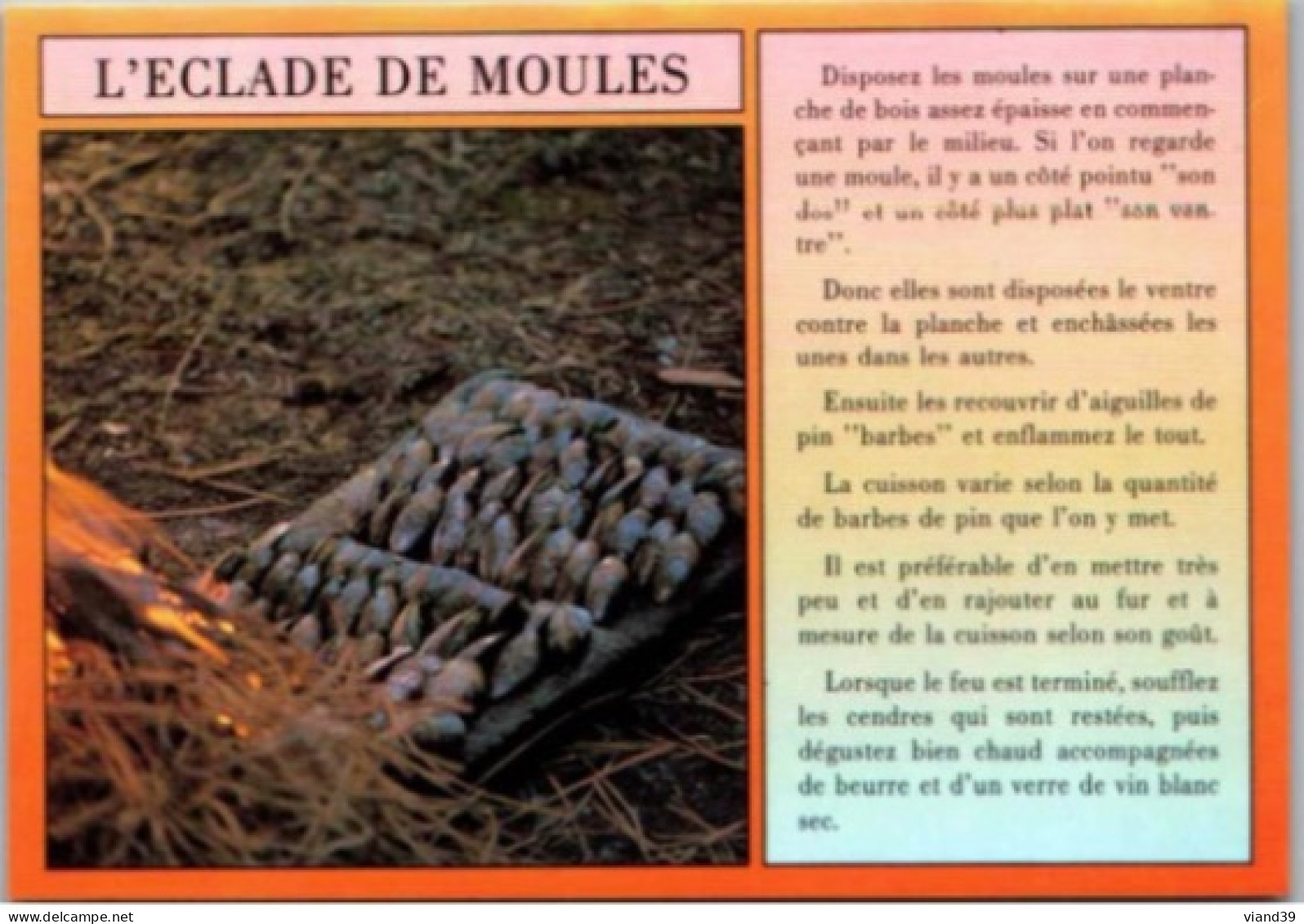 L'ECLADE DE MOULES . -  Recettes De Cuisine - CPM - Voir Scannes Recto-Verso - Recepten (kook)