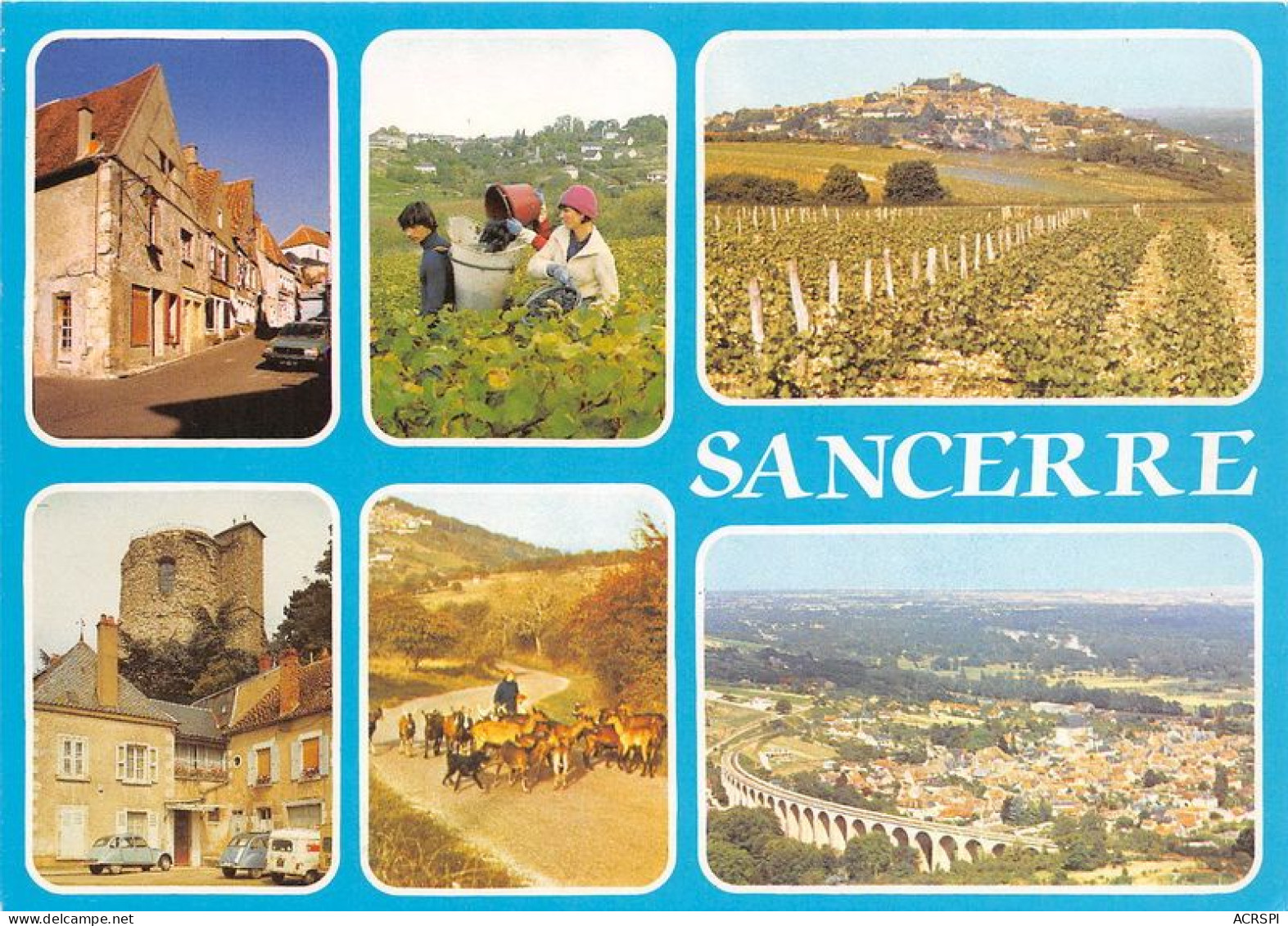 SANCERRE Maisons Du XVIe Siecle Les Vendanges Les Vignobles La Tour Du Chateau 4(scan Recto-verso) MA1813 - Sancerre