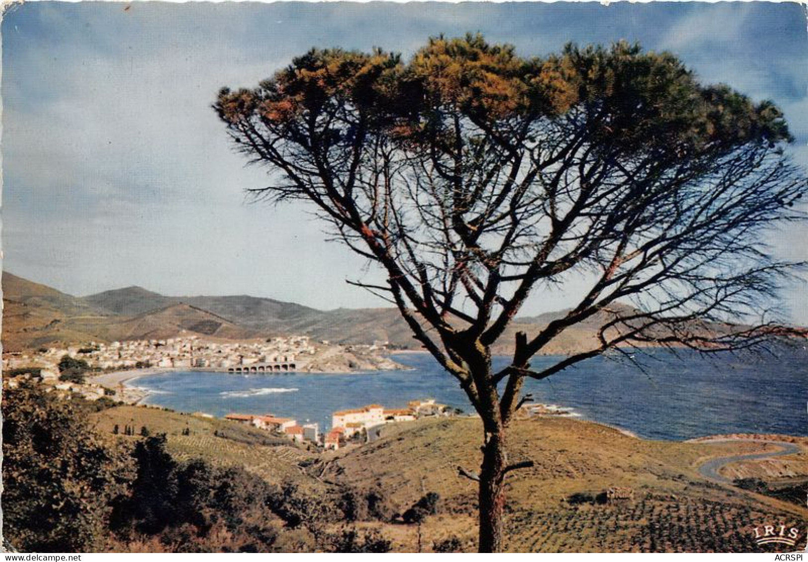 BANYULS S MER Vue Generale De La Baie 19(scan Recto-verso) MA1842 - Banyuls Sur Mer