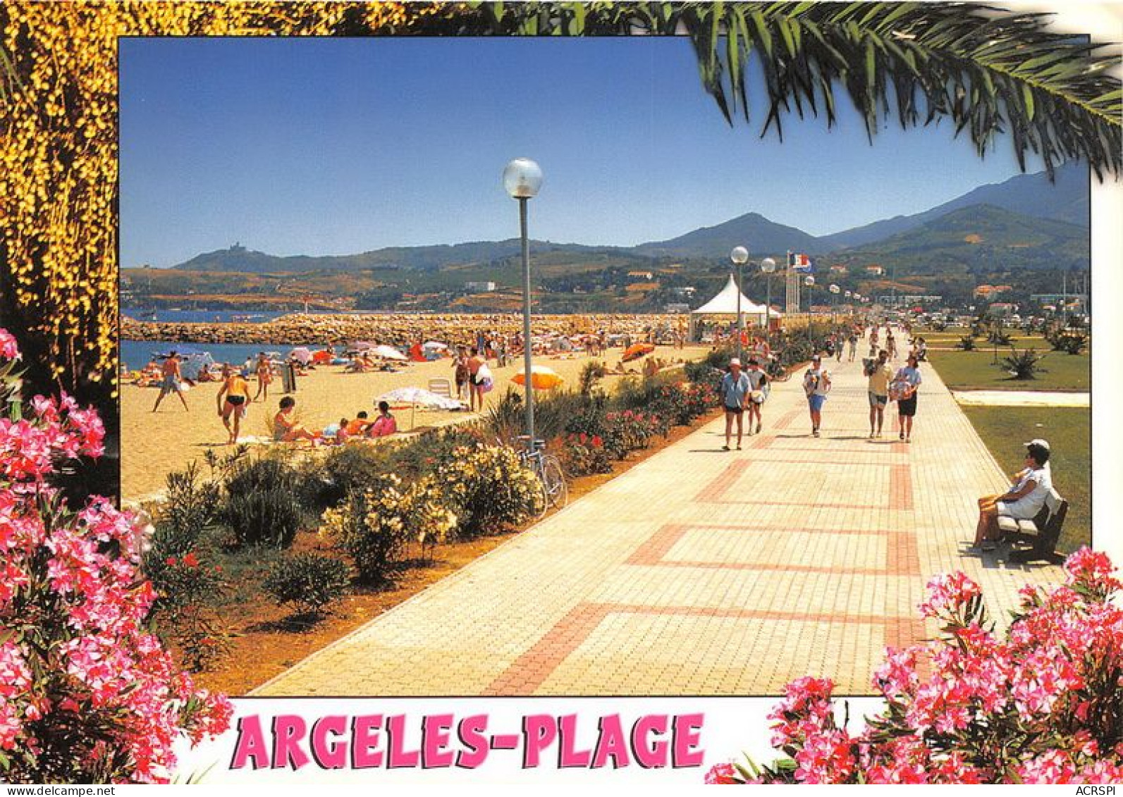 ARGELES PLAGE 33(scan Recto-verso) MA1876 - Argeles Sur Mer