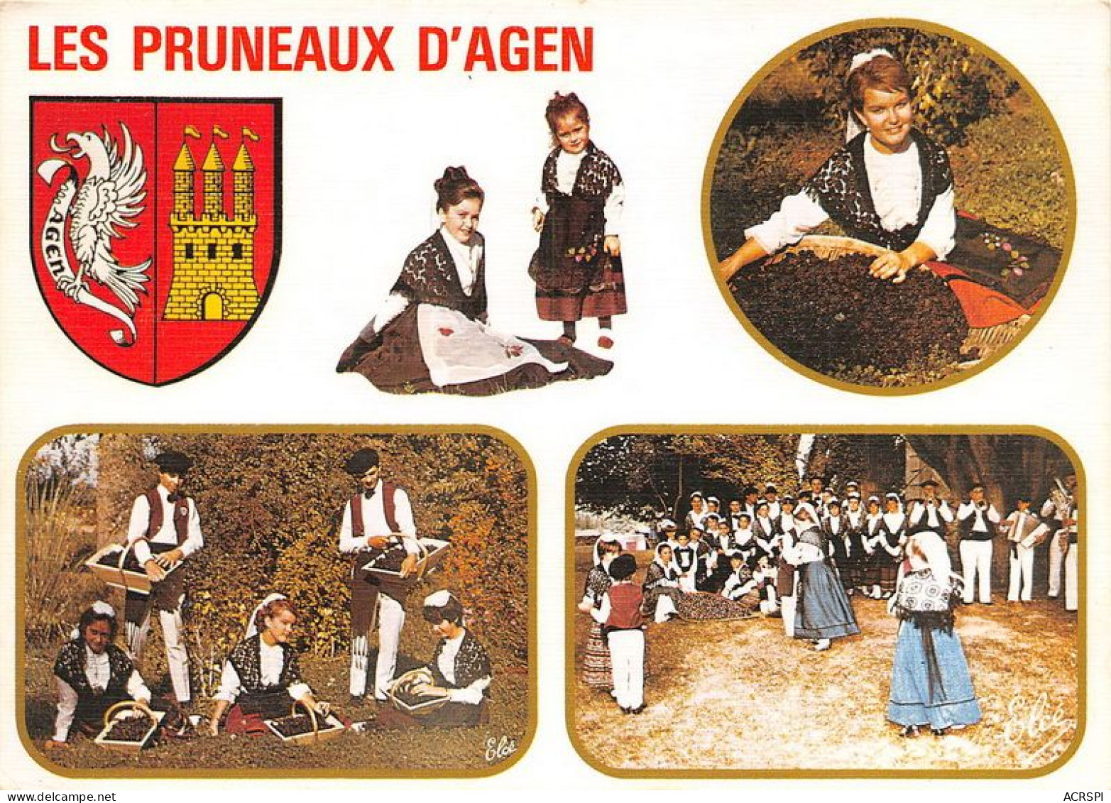 Les Pruneaux D Agen 12(scan Recto-verso) MA1864 - Agen