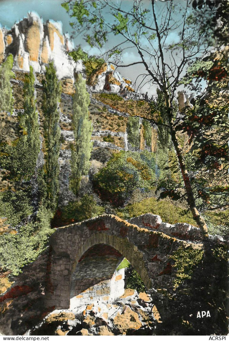 Lozere CAPELAN Le Pont Romain Gorges De La JONTE  33   (scan Recto-verso)MA1898Ter - Villefort