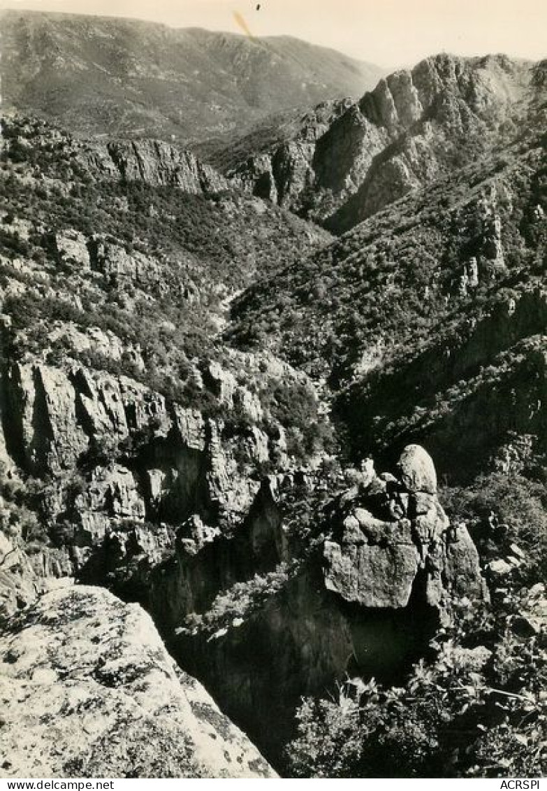 VILLEFORT Les Gorges Du Chassezac  29   (scan Recto-verso)MA1898Bis - Villefort