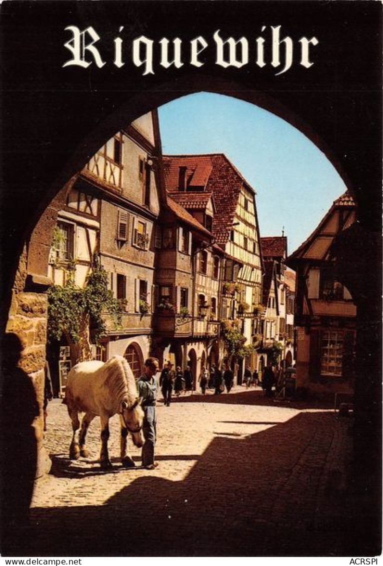 RIQUEWIHR La Rue Du General De Gaulle Vue Du Dolder 13(scan Recto-verso) MA1889 - Riquewihr