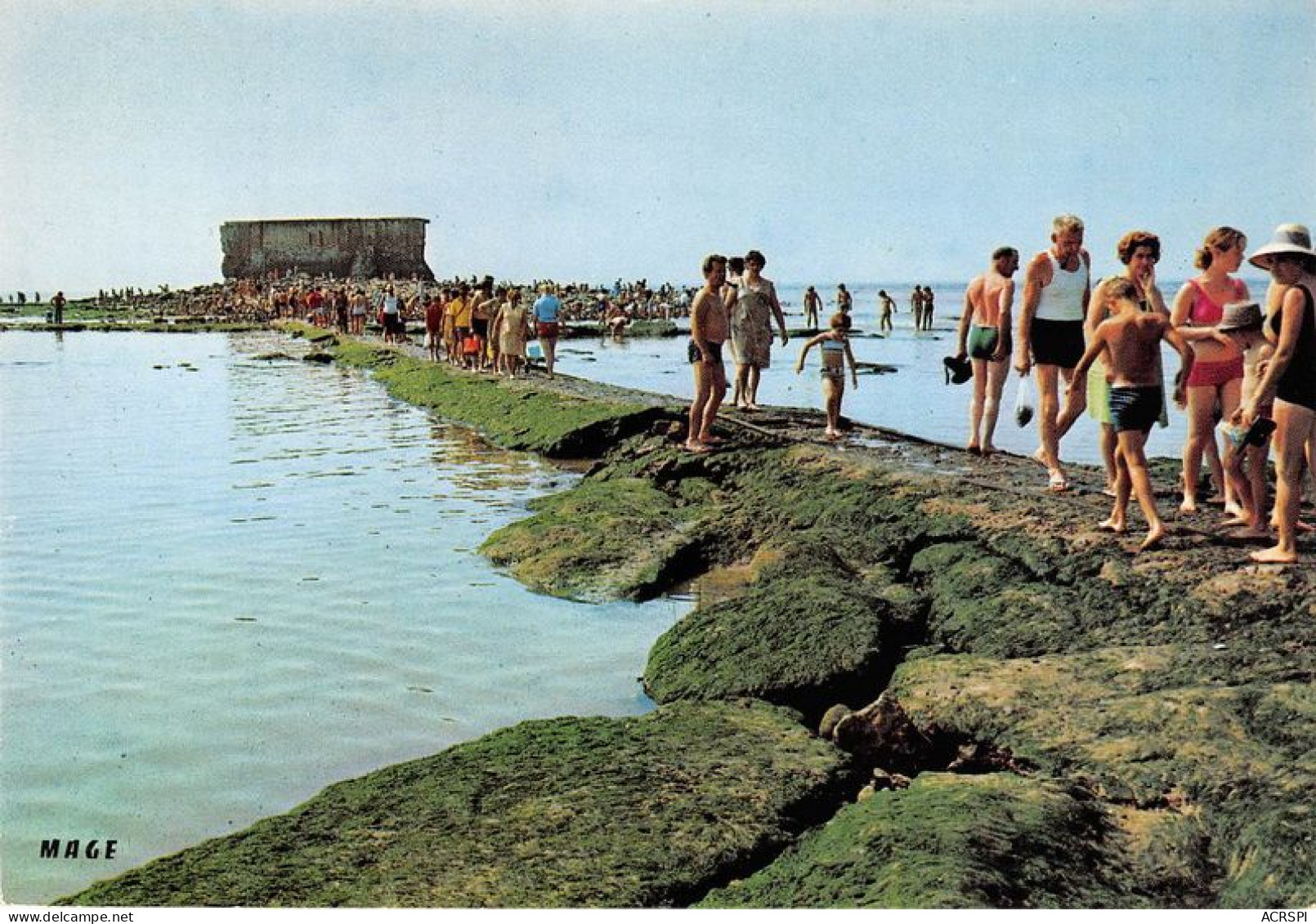 LE PORTEL Cueillette Des Moules Sur Le Fort De L Heurt 20(scan Recto-verso) MA1884 - Le Portel