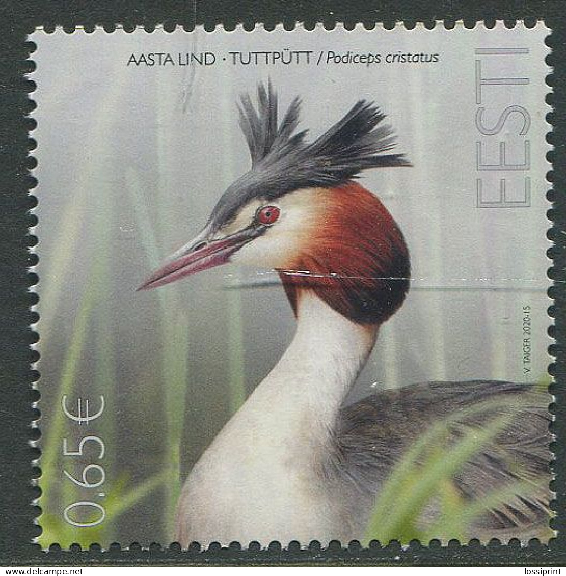 Estonia:Unused Stamp Bird Of The Year, Podiceps Cristatus, 2020, MNH - Estland