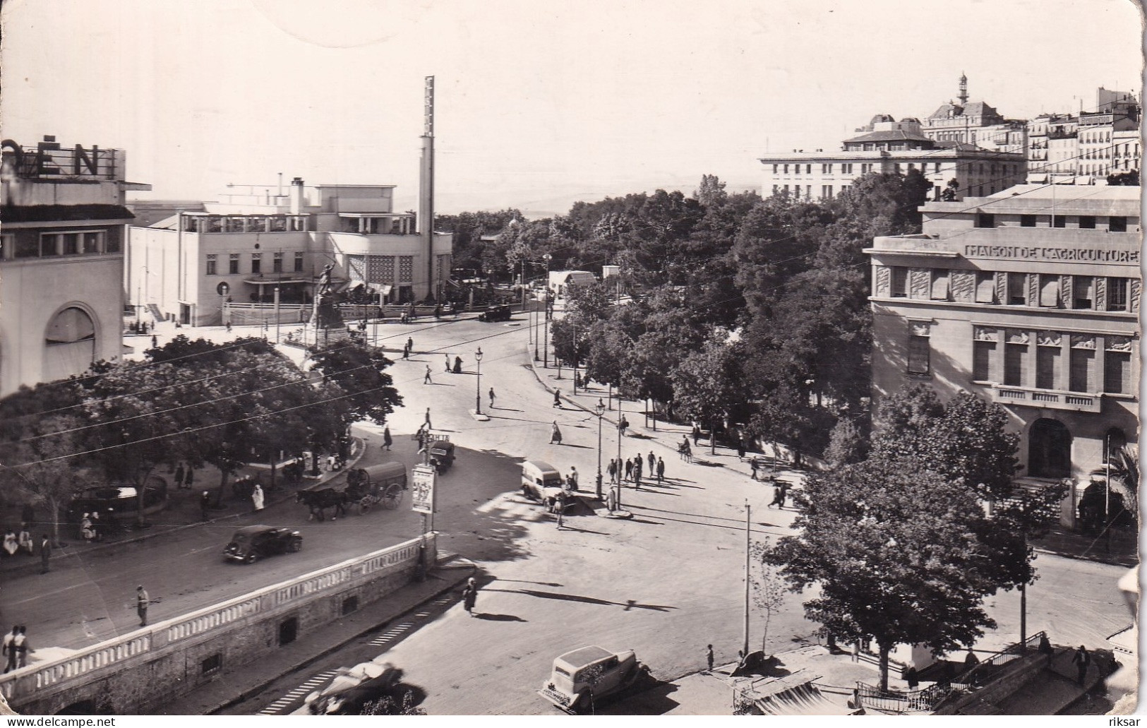 ALGERIE(CONSTANTINE) AUTOMOBILE - Constantine