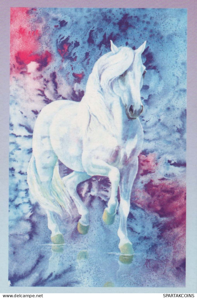 HORSE Animals Vintage Postcard CPA #PKE877.GB - Cavalli