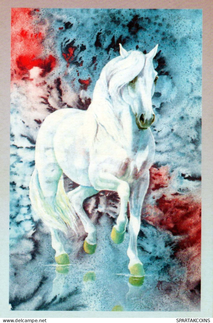 HORSE Animals Vintage Postcard CPA #PKE877.GB - Cavalli